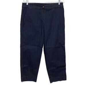 Eileen Fisher Dress Jeans Pants Made USA Dark Wash Womens Small 31 Waist Classic